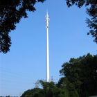 أبراج الاتصالات المهنية، المقنعة الصنوبر برج شجرة
